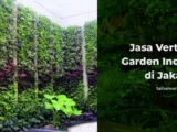 Jasa Vertikal Garden Indoor di Jakarta