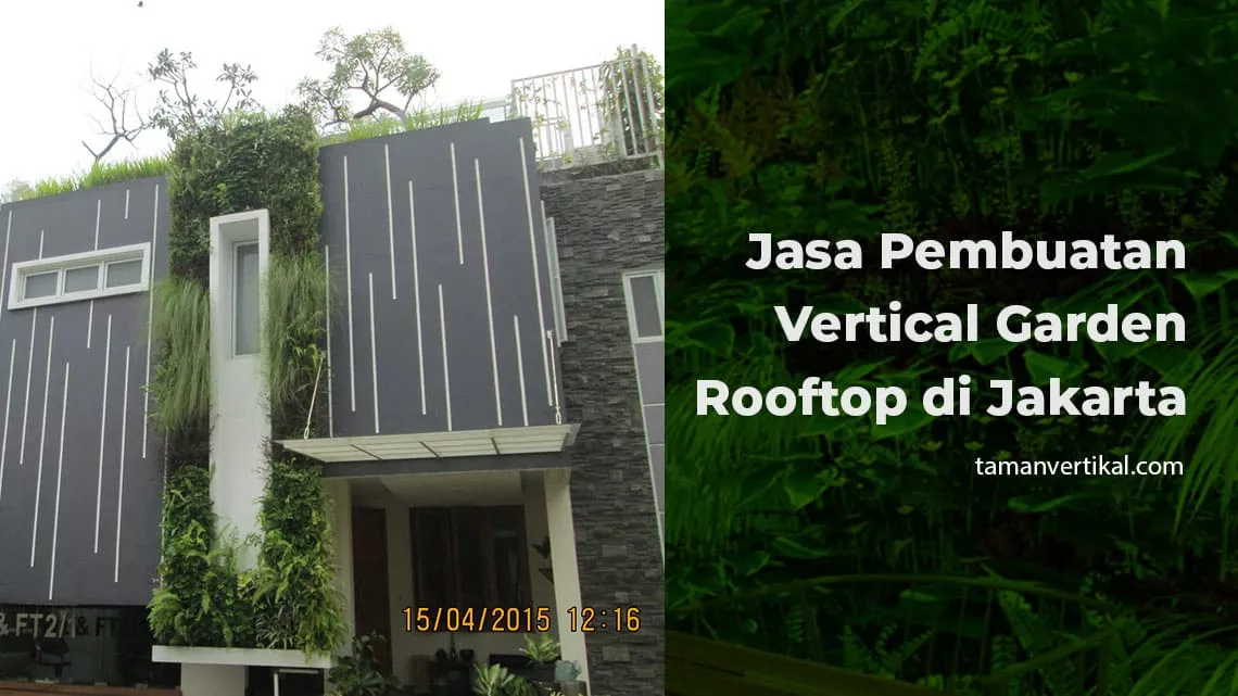 jasa pembuatan vertical garden rooftop